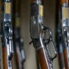 El Gobierno quiere regularizar la tenencia de armas de fuego: habrá facilidades para registrarlas